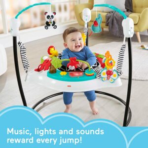 fisher-price-jumperoo
